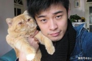 吃瓜娱乐赵小瞒小猫,吃瓜娱乐界的甜蜜萌宠