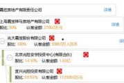 嘉宏房地产爆料视频,项目真相与行业乱象