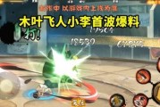 忍战小李技能爆料视频最新,视频爆料揭示神秘力量