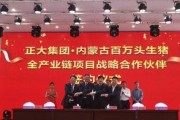 正大集团爆料新闻视频,独家爆料新闻视频深度解析